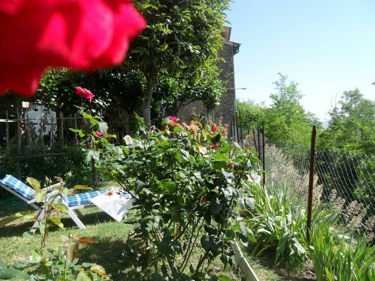 House With Stunning Views Villa Chiusdino Bagian luar foto